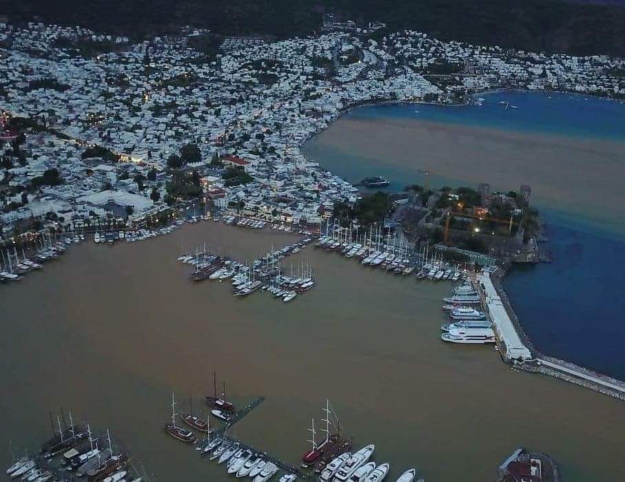 Bodrum'da Deniz Kahverengiye Dönüştü. 2 FB IMG 1543524444668