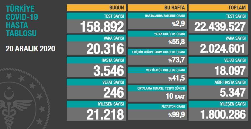 Bodrum'da Haritanın Rengi Değişti 1 FB IMG 1608498239815