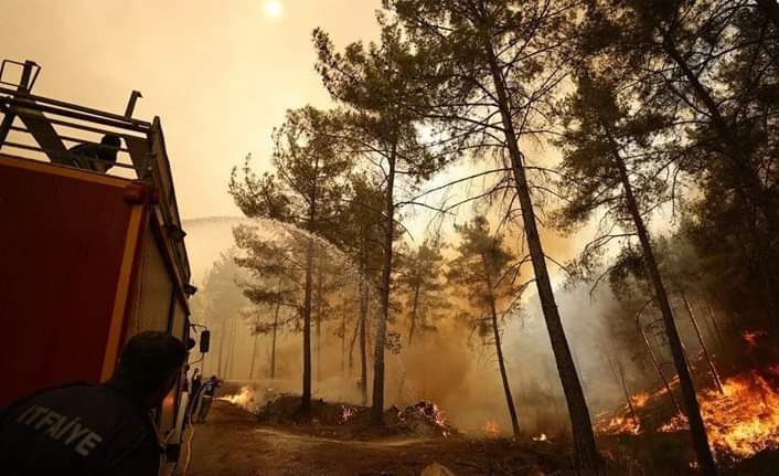 Muğla'da Orman Yanginlari Son Durum Raporu 16 FB IMG 1628160835584