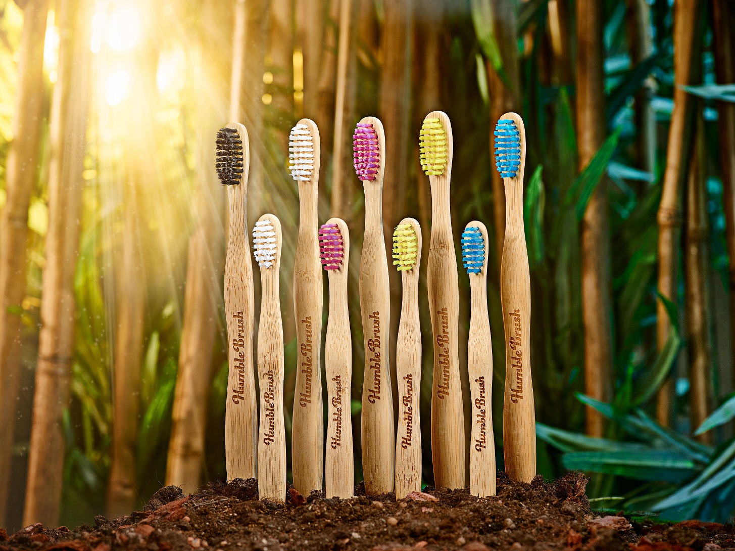 Humble Brush Bamboo environment