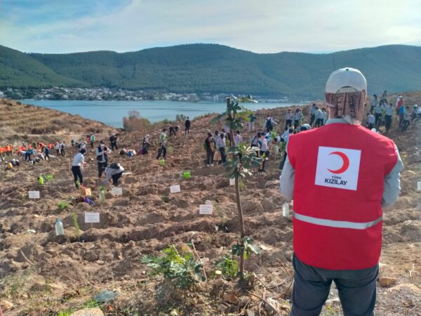 Bodrum'da 125 Bin Fidan Toprakla Buluştu 1 IMG 20211111 WA0018 e1636645996881