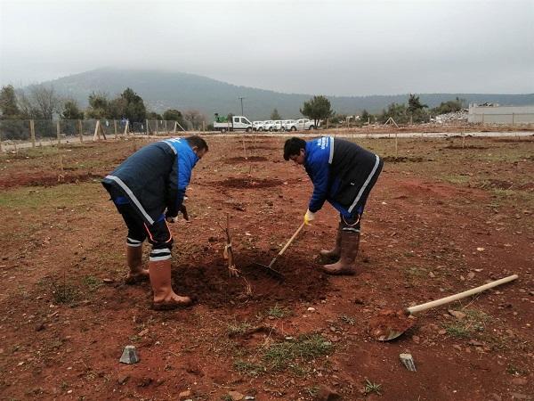 Muğla Büyükşehir’den “Hortikültürel Terapi” 20 Mugla Buyuksehir’den “Hortikulturel Terapi” 5