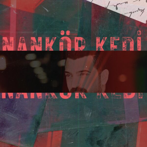 Nankor Kedi Kapak Fotografi e1675274541207