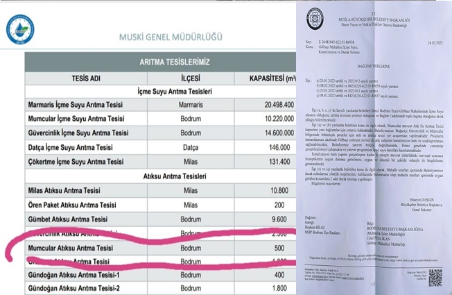 Bodrum Sokak Dedikodularından Bıktı! 1 TEV4937 2