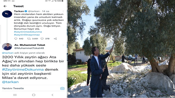 Tokattan Tarkana davet