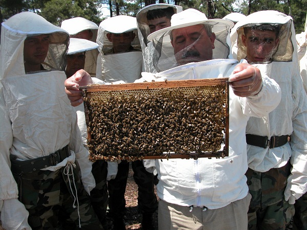 Muğla’da Apiterapi Merkezi Kurulması Çalışmaları Sürüyor 16 apiterapi merkezi 2