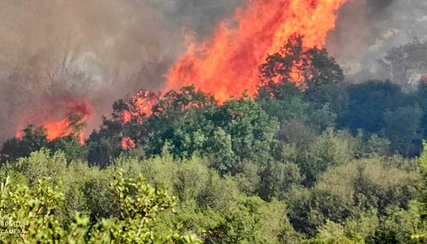 Aydın'da Çıkan Orman Yangını, Muğla'ya Sıçradı 15 aydin mugla sinirinda makilik yangini 14304213 amp 1100x630 1