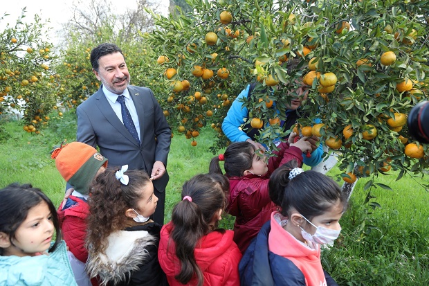 İlkokul Öğrencileriyle Birlikte Mandalina Hasadı Yapıldı 3 baskanarasogrencilerlemandalinahasadiyapti3