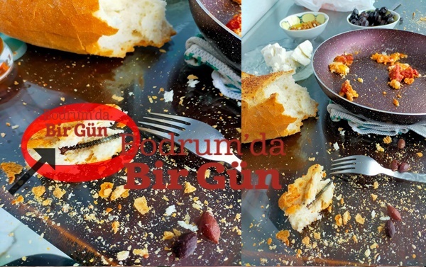 Ekmeğin Içinden Çıkan Şey, 'Pes Artık' Dedirtti 5 Cm Vida Çıktı 1 bodrum ekmegin icinden 5 CM vida cikti