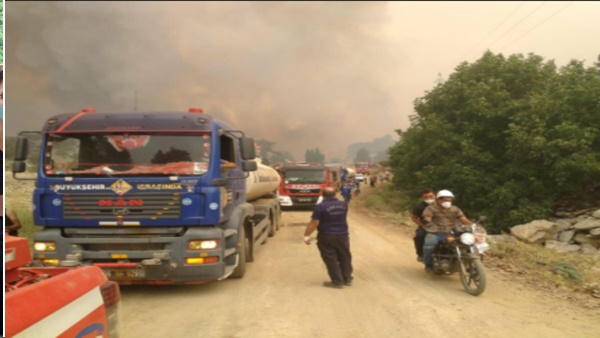 Muğla'nın Milas Ve Köyceğiz Ilçelerinde Yangınlara Müdahale Sürüyor 14 bodrum yanan evlere nakdi yardim 1