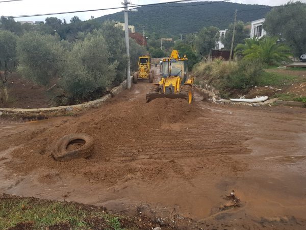 Bodrum'da Yaralar Sarılıyor 18 bodrumda yaralar sariliyor 5 e1542637490406