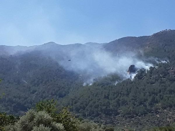 Çine'de Devam Eden Orman Yangını Kontrol Altına Alınmaya Çalışılıyor 17 cine deki orman yanginind