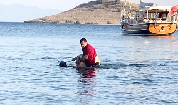 Kocadon, Boğulmak Üzere Olan Kadını Kurtardı 2 dab4676e13d9c40223735291b3cd8cf3