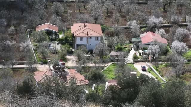 Datça'da Mevsimin Ilk Badem Çağlası Hasadı Başladı 15 datca da mevsimin ilk badem caglasi hasadi ba 4 13926238 o