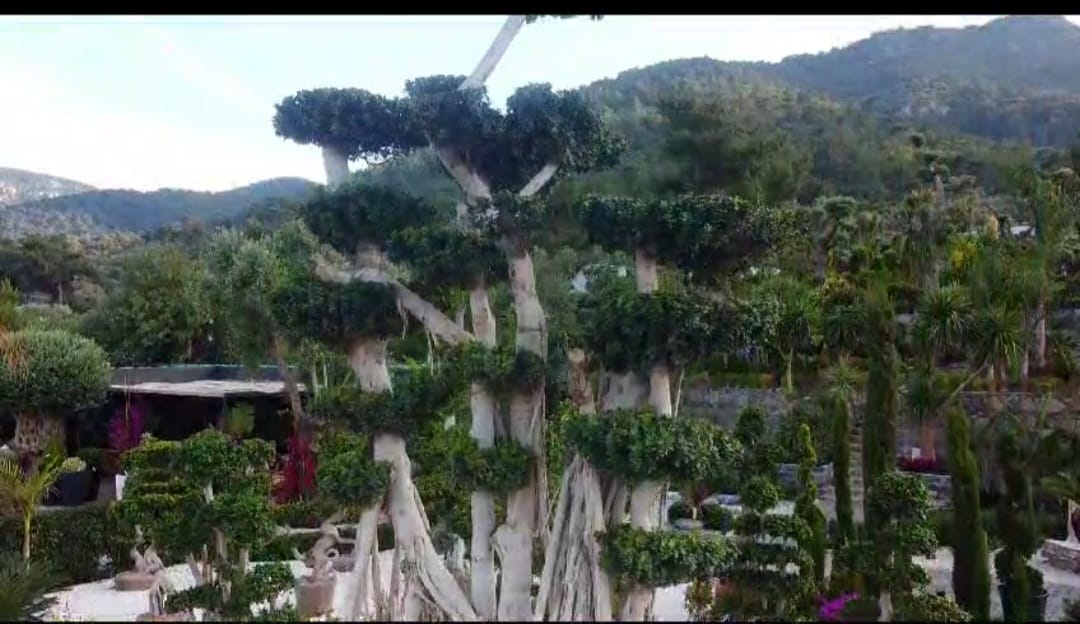Vita Botanik Bodrum'a Değer Katıyor 2 dc2b7b89 1dbd 49d4 9f1d 2e37b607fc6f