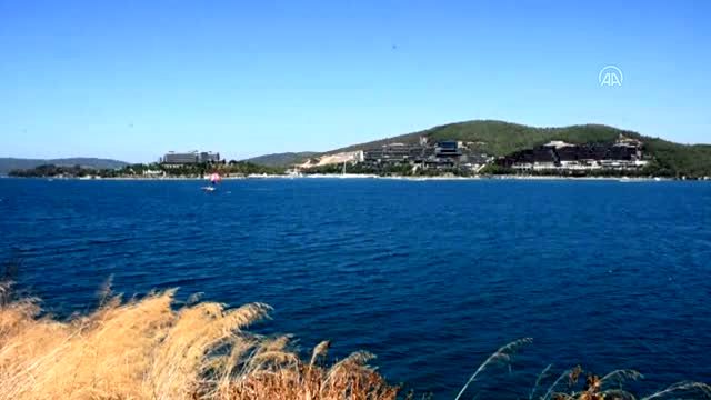 deniz tabanina yapilan beton duvarlarla ilgil 13521519 o