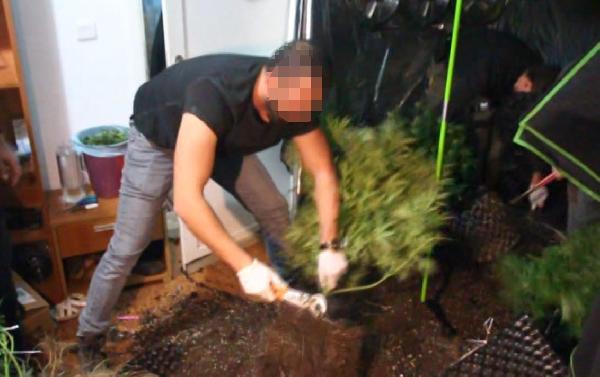 Bodrum'da Villada Hint Keneviri Yetiştiren 2 Kişi Tutuklandı 13 efebff8cd7d174390986ccfa5a06a07f