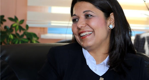 elvan gocer