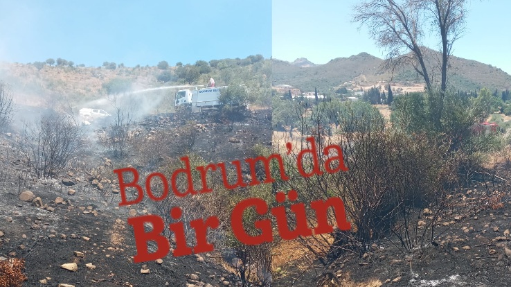 Bodrum Dereköy Makilik Alanda Yangın 1 images.jpeg 1 213