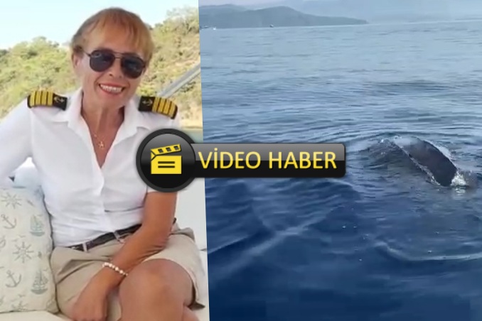 Okyanuslar Görülen Dünyanın En Büyük Kaplumbağası Muğla'da Görüntülendi 9 images.jpeg 1 28
