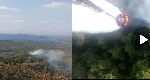 Marmaris'te Orman Yangını 9 images.jpeg 134