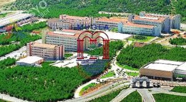 Muğla Sıtkı Koçman Üniversitesi Senato Kararı 19 indir 62