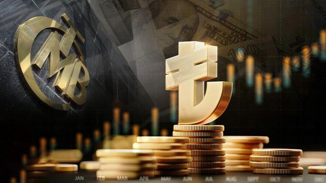 merkez bankasi syok 1753245 2