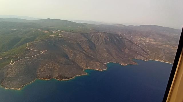 Milas'taki Orman Yangınları Sonrası Kül Olan Alanlar Havadan Görüntülendi 10 milas taki orman yangini havadan goruntulendi 14312103 o