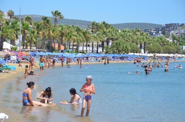 Muğla Aşilamada İlk Sirada Yer Aldi, Doluluk Orani Yüzde 90 Aşti 10 mugla asilamada ilk sirada yer aldi bodrum 2 14253676 o
