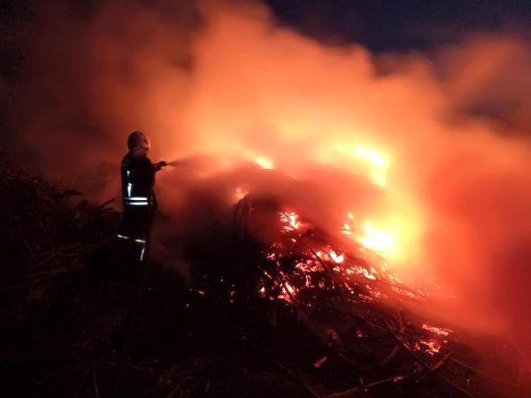 Muğla'da 4 Ayrı Ilçede Yangın 1 mugla da sazlik alanda yangin 13736508 o