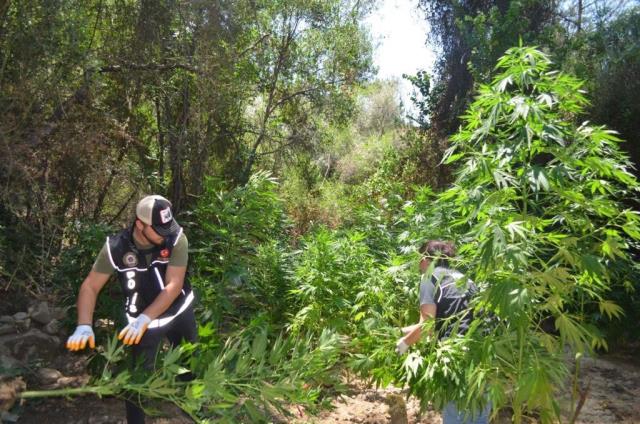 Muğla'da Uyuşturucu Operasyonunda Polise Ateş Eden Şüpheli Ile Eşi Gözaltına Alındı 15 mugla da uyusturucu operasyonunda polise ates 2 14267081 o