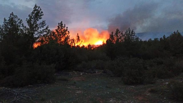 Muğla'nın Iki Ilçesinde Ormanlık Alanlarda Yangın Çıktı 11 mugla nin iki ilcesinde ormanlik alanda yangin 14073295 2655 o