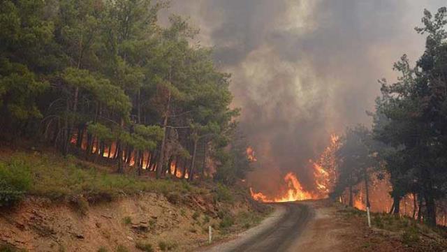 Muğla Ortaca'da Orman Yangını Çıktı 14 mugla nin ortaca ilcesinde orman yangini cikti 14112340 3821 o