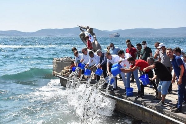 Muğla'da 30 Bin Levrek Yavrusu Denize Bırakıldı 4 muglada 30 bin levrek yavrusu denize birakildi h31663