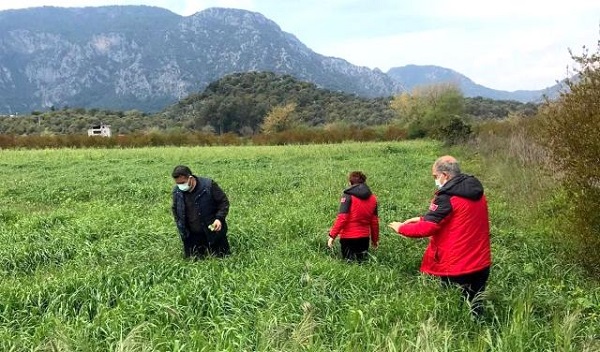Saylak: "Çiftçimizi Desteklemek Için Var Gücümüzle Çalışıyoruz" 6 saylak ciftcimizi desteklemek icin var gucumu 14093280 o 1