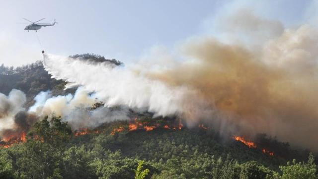 son dakika 11 gundur devam eden mugla milas 14322257 4060 o