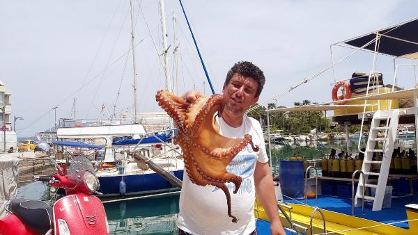 tam kapanmada ahtapotlar limana kadar geldi 2 14105669 o