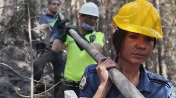 Türkiye'deki Orman Yangınlarıyla Ilgili Egm'den Duygulandıran Belgesel 20 turkiye deki orman yanginlariyla ilgili egm den 14396438 9463 amp e1631695325880