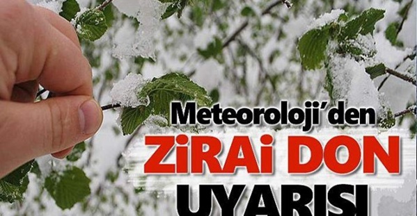 Ege Için Zirai Don Uyarısı 11 zirai don